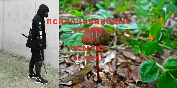 амфетамин Лабытнанги